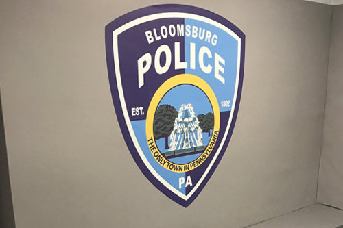 Kwik-Stik Wall Padding for De-Escalation Rooms and Padded Cells