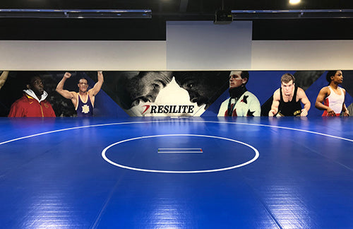 Custom Liteweight Wall Padding and mats