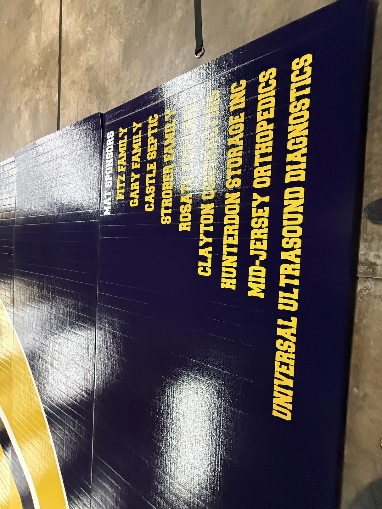 Flex 3 Wrestling Mat 42' x 42' Blue and Gold