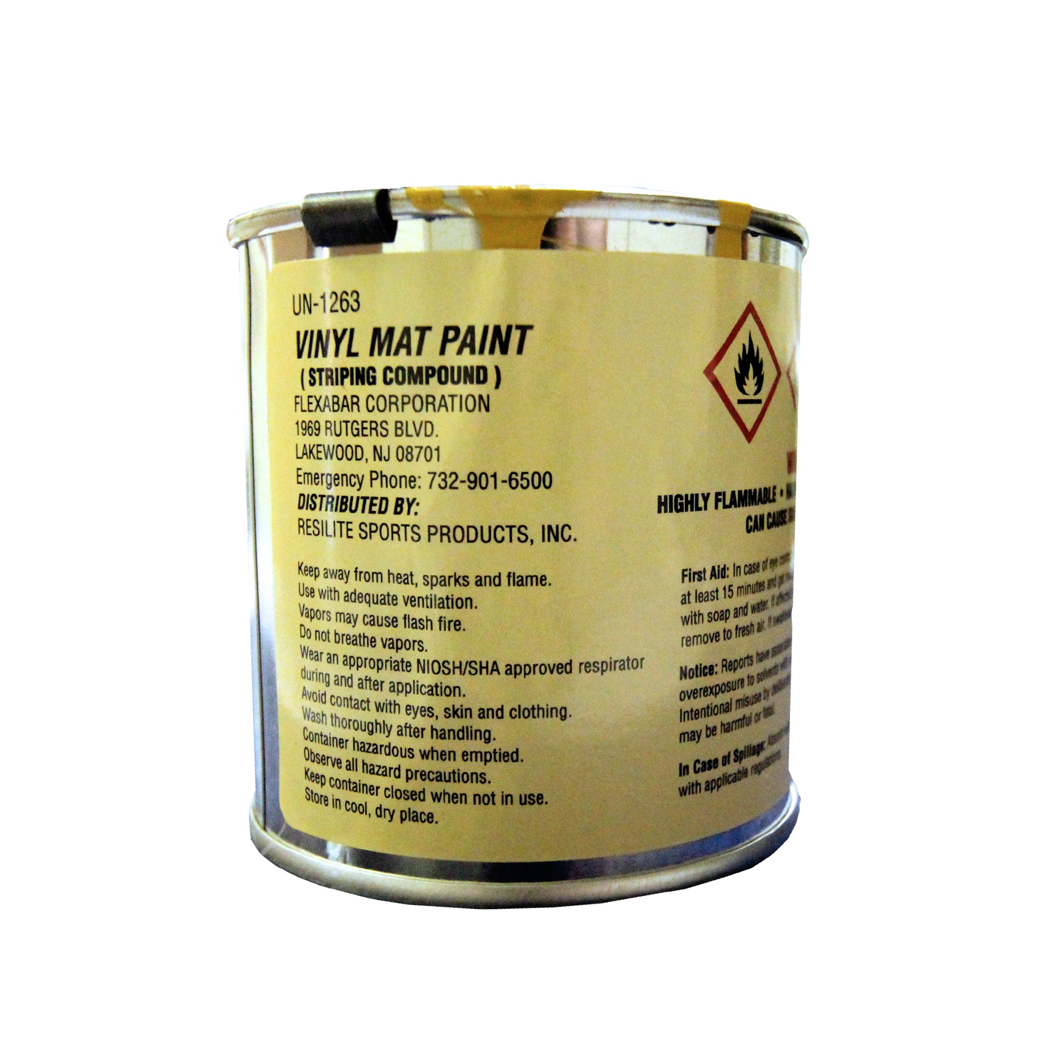 Repair Kit Mat Paint