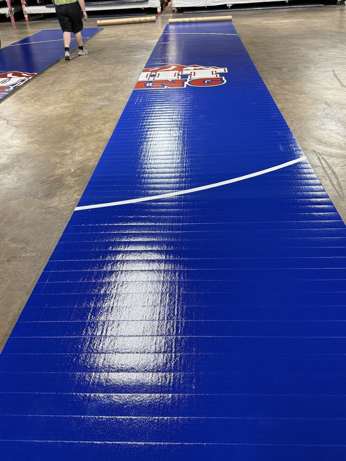 Flex 3 Wrestling Mat - 6' x 42' - Blue