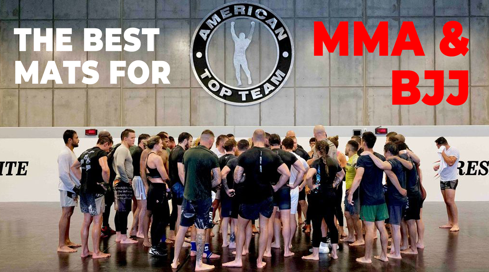 The Best Mats for MMA Fighters and BJJ Gyms – Hybrid, Classic, and LiteWeight Options
