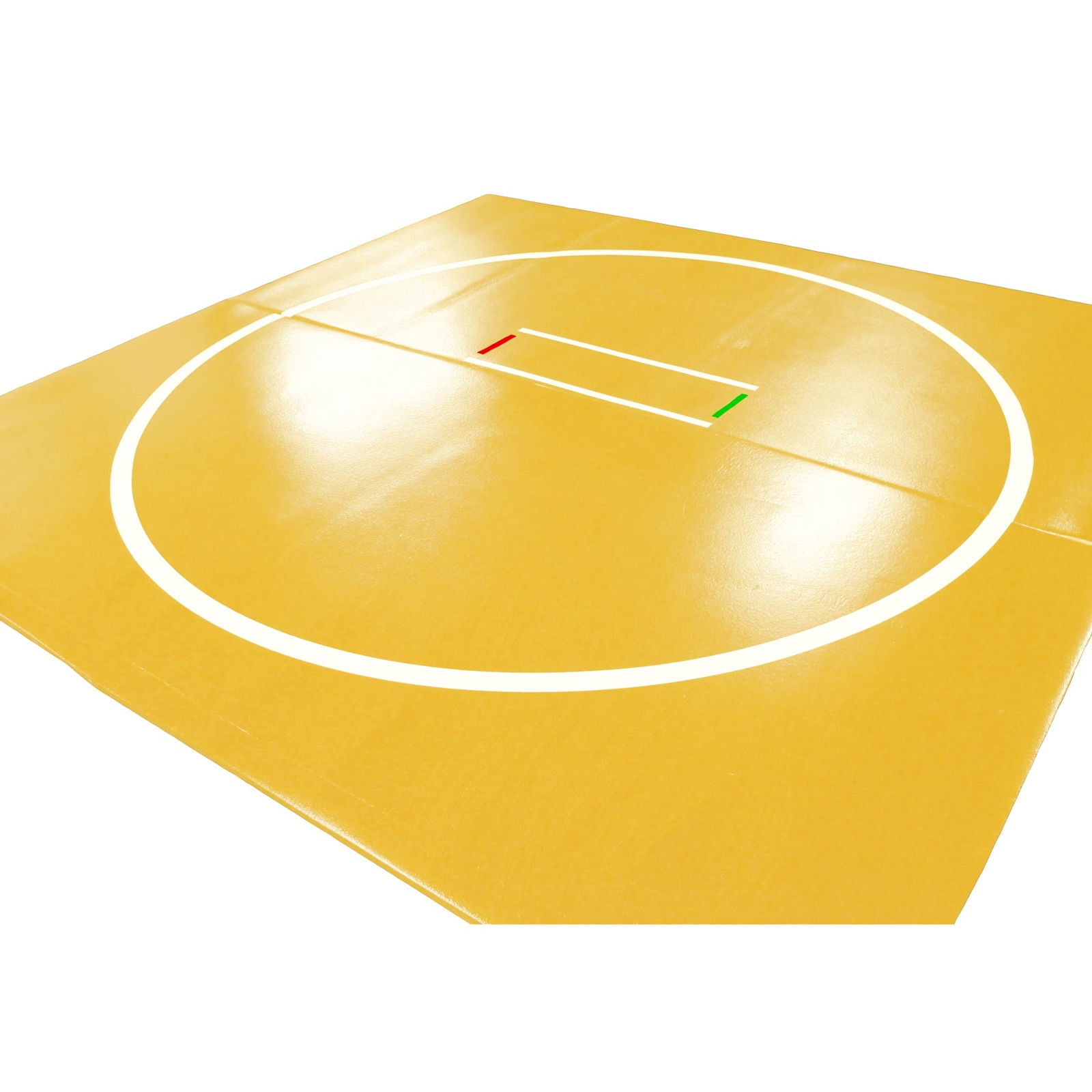 10' x 10' Home-Use Classic Wrestling Mats - Resilite Mats