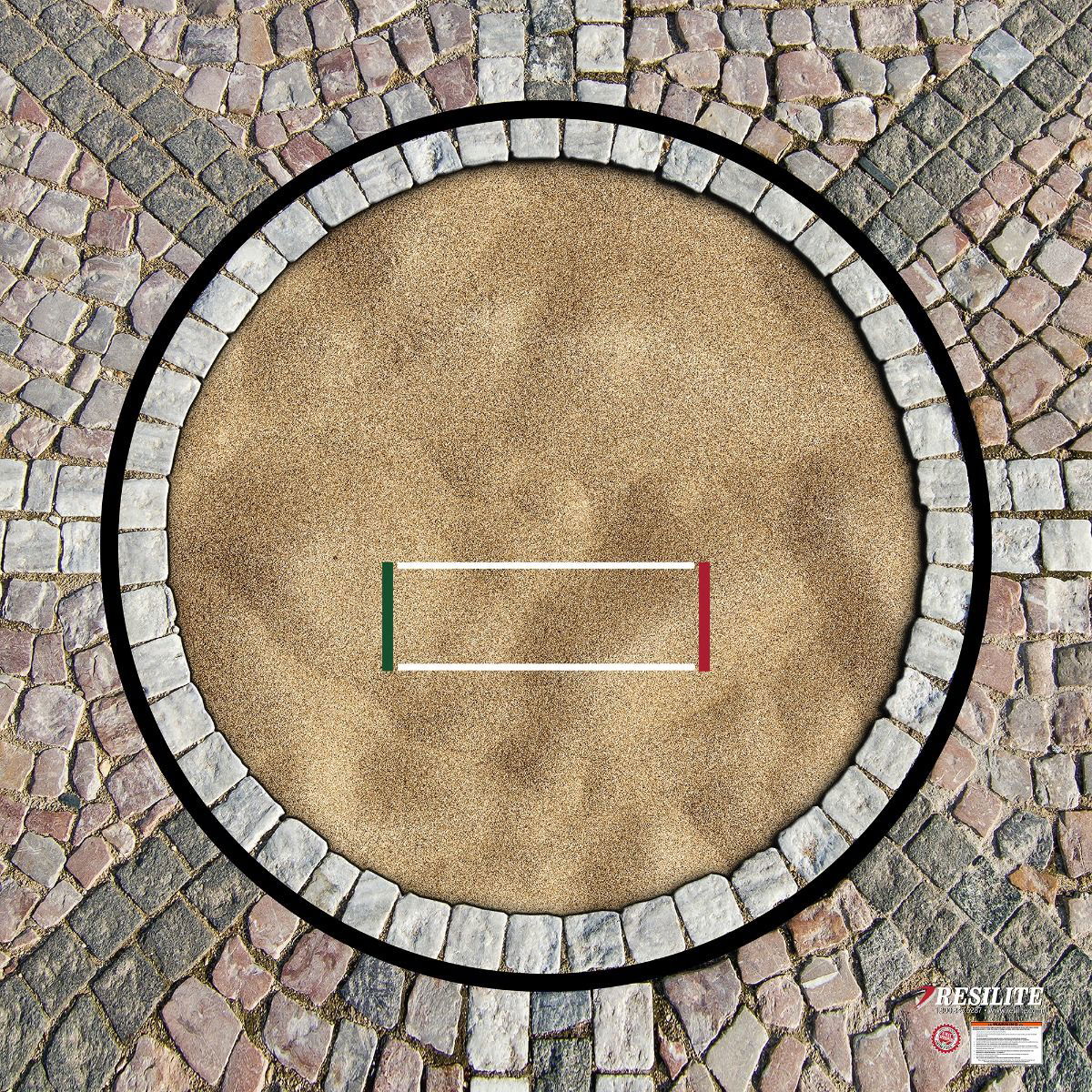 9' 4" x 10' Home-Use LiteWeight Wrestling Mats: DIGIPRINT - Resilite Mats