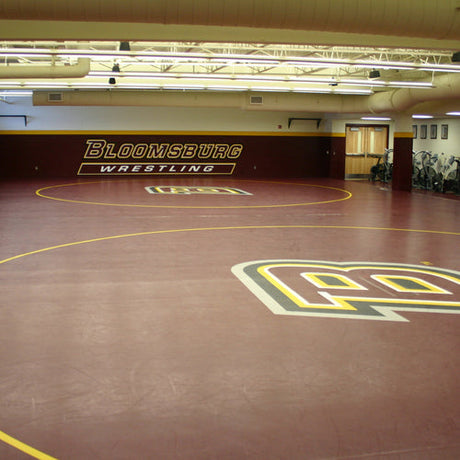 Wrestling Room Design and Custom Wrestling Rooms | Resilite – Resilite ...