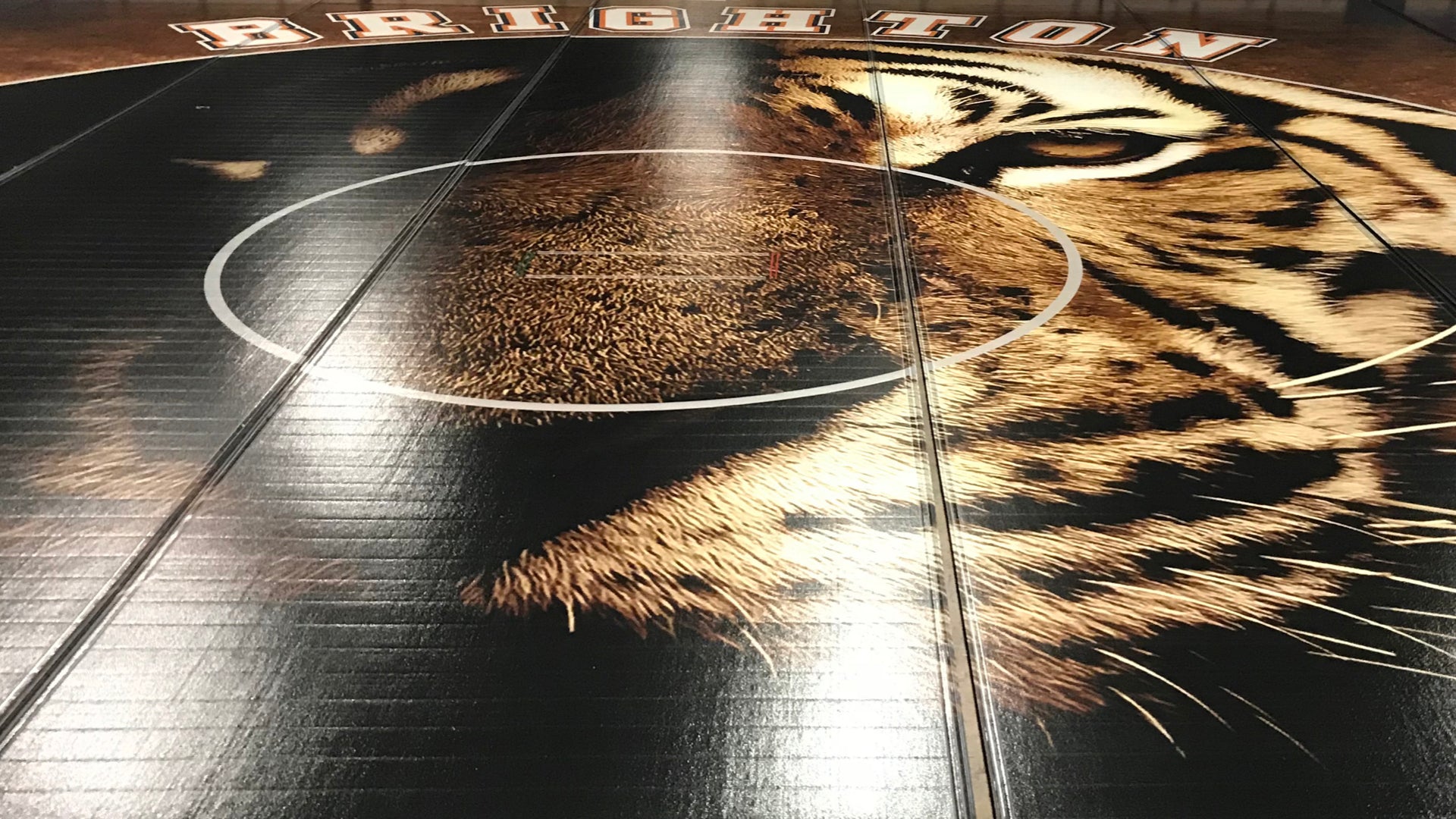 FLEX3 Wrestling Mats - Roll Up Wrestling Mats | Resilite