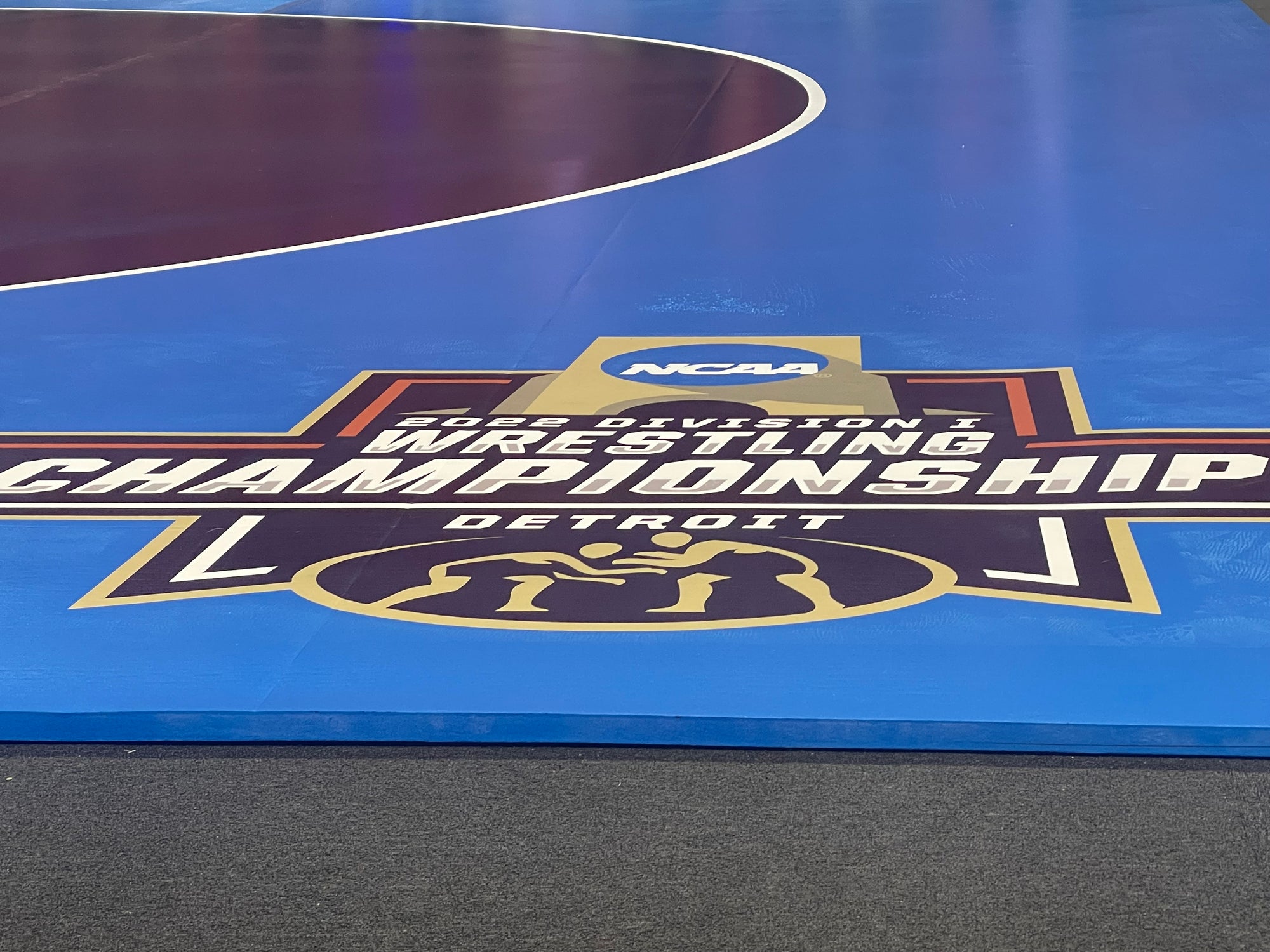 Resilite Wrestling Mats TwoSided Wrestling Mats, RollUp Wrestling Mats