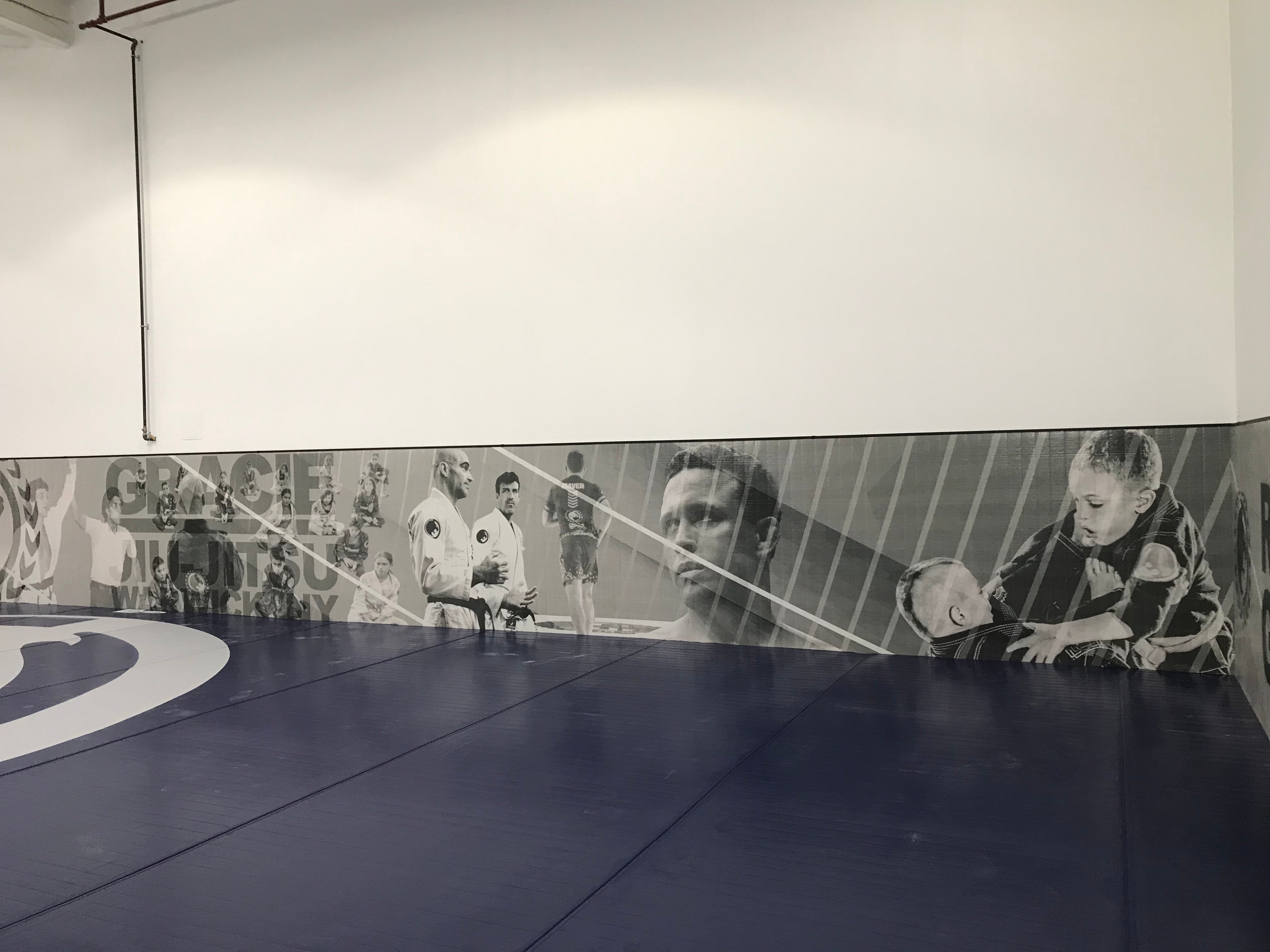 Wall mats 2025 for wrestling room
