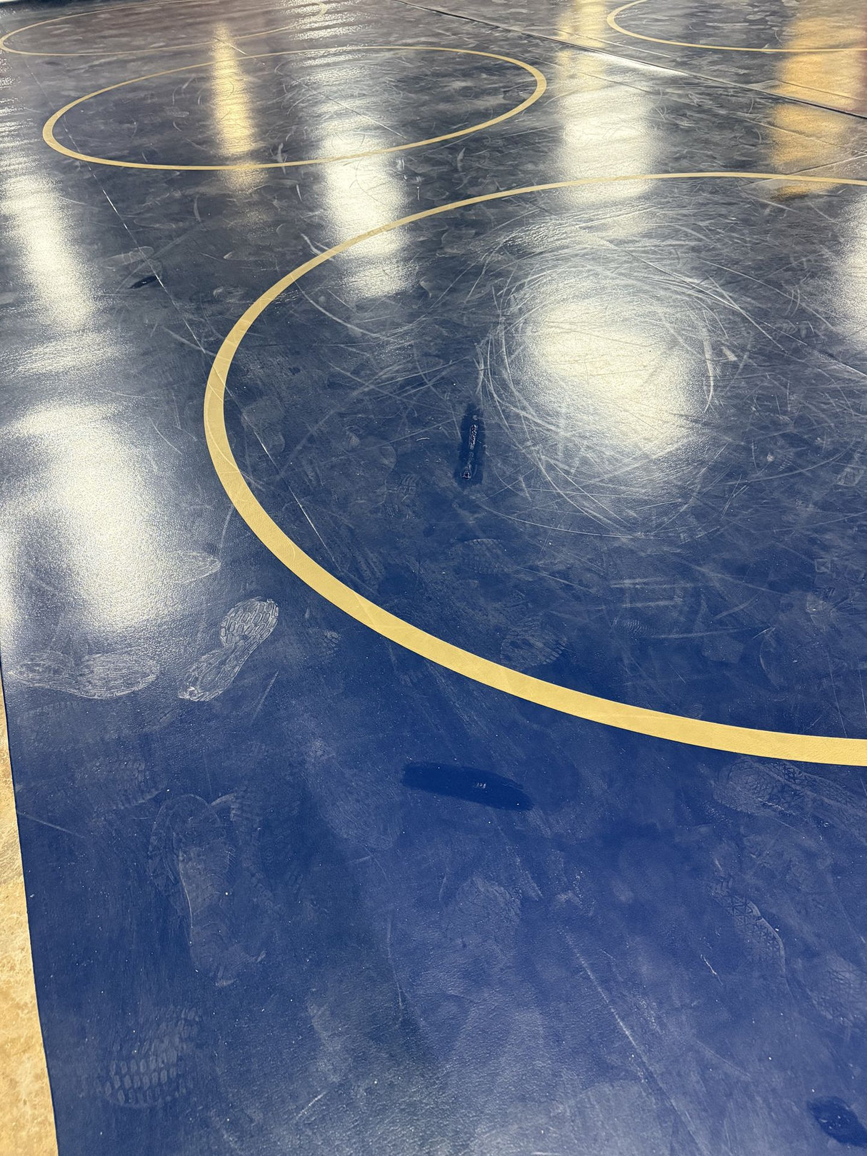 Classic Mat 27' 8" X 42' Navy with Metallic Gold Practice Circles