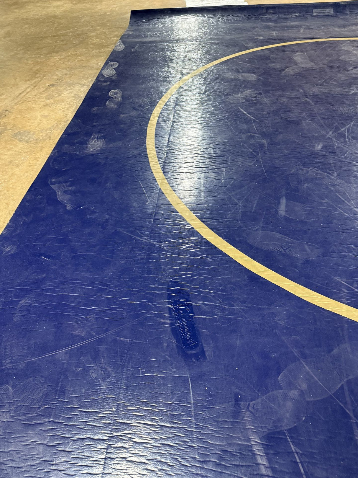 Classic Mat 27' 8" X 42' Navy with Metallic Gold Practice Circles