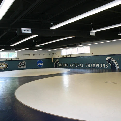 Old_Dominion_Wrestling_Room.webp