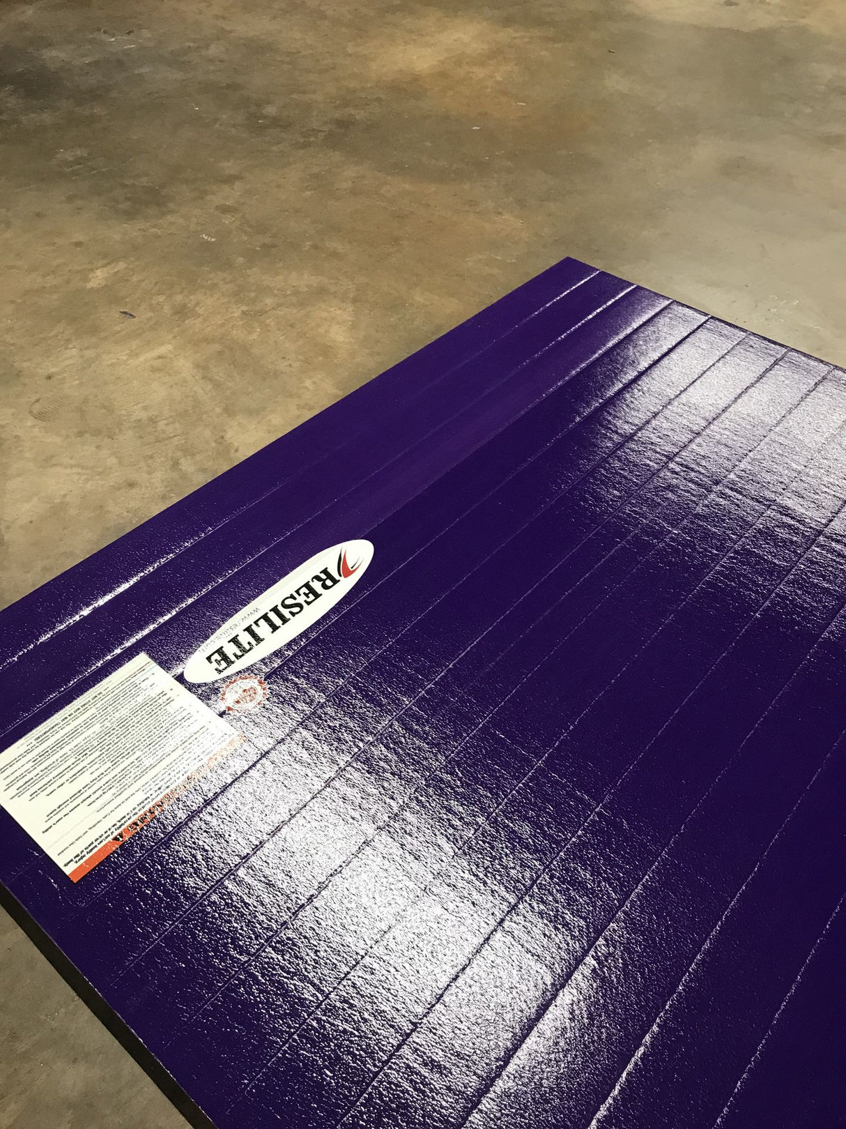 Flex 3 Wrestling Flex 3 - 6' x 38' Purple