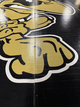 Flex 3 Wrestling Mat  40' x 40' Zip mat - 7 Sections