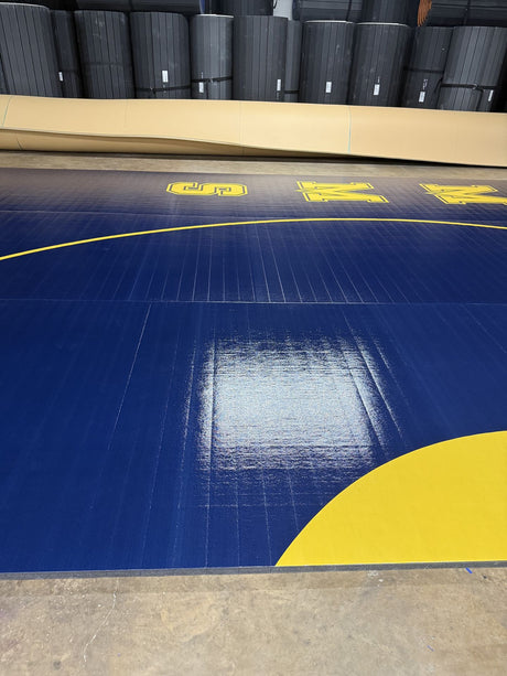 Flex 3 Wrestling  18' x 42' Blue-3 Sections