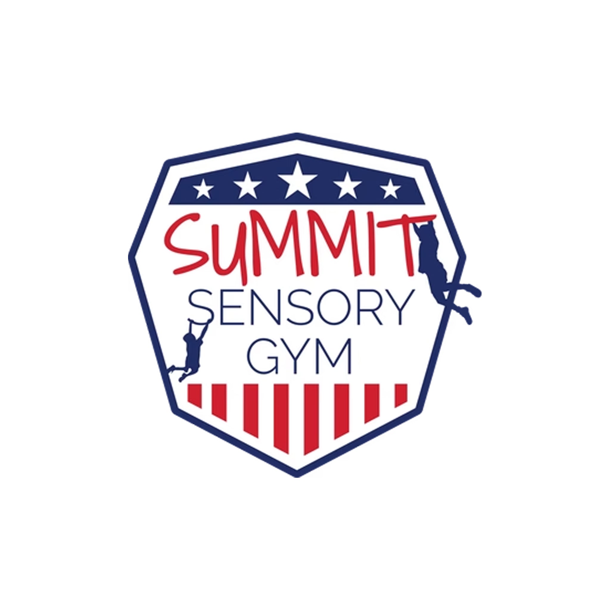 Summit Sensory Mat - 48" x 48" x 3.25" (OLD FRAME MODEL)