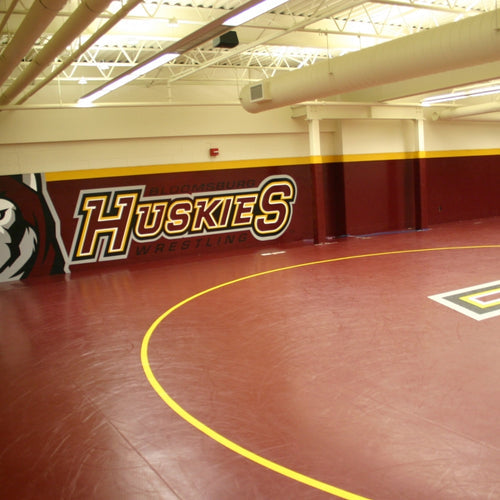 Wrestling Room Design and Custom Wrestling Rooms | Resilite – Resilite ...
