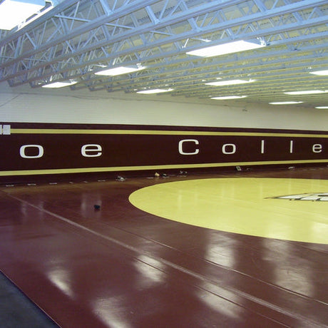 Wrestling Room Design and Custom Wrestling Rooms | Resilite – Resilite ...