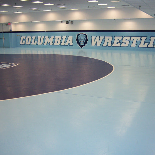 Wrestling Room Design and Custom Wrestling Rooms | Resilite – Resilite ...