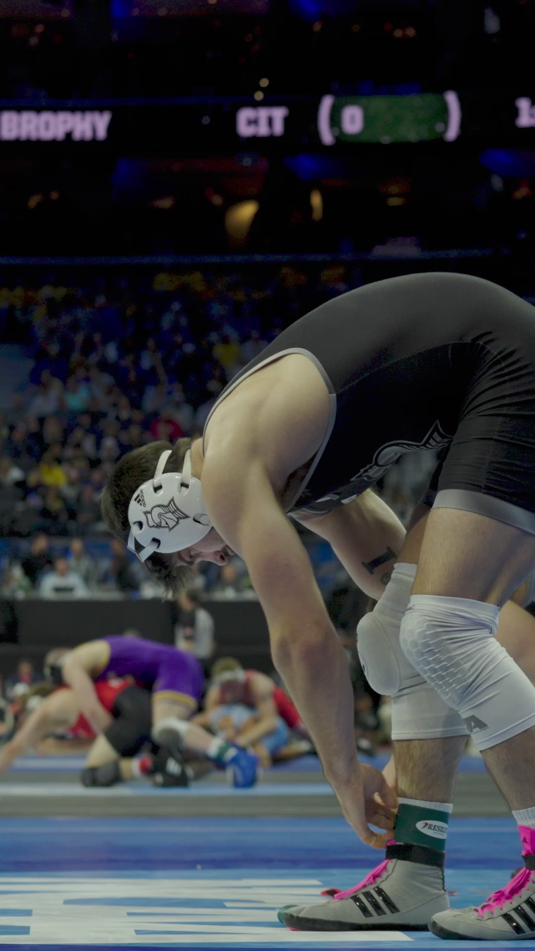 Wrestling Ankle Bands